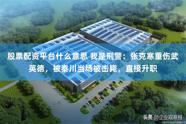 股票配资平台什么意思 我是刑警：张克寒重伤武英德，被秦川当场被击毙，直接升职