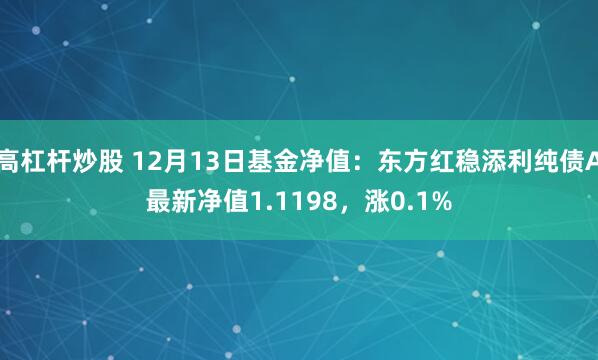 高杠杆炒股 12月13日基金净值：东方红稳添利纯债A最新净值1.1198，涨0.1%