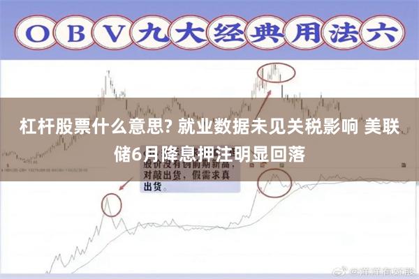 杠杆股票什么意思? 就业数据未见关税影响 美联储6月降息押注明显回落