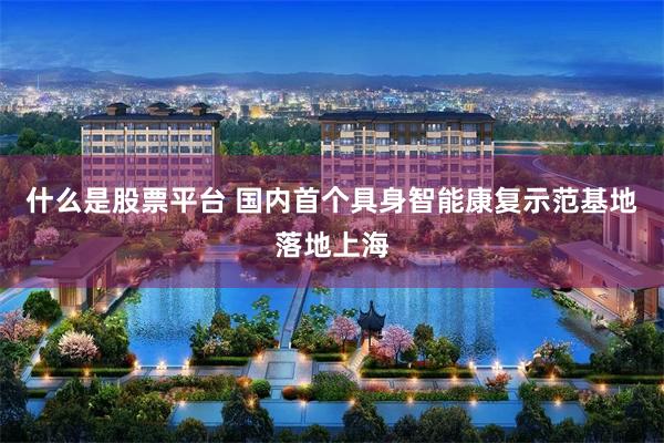 什么是股票平台 国内首个具身智能康复示范基地落地上海