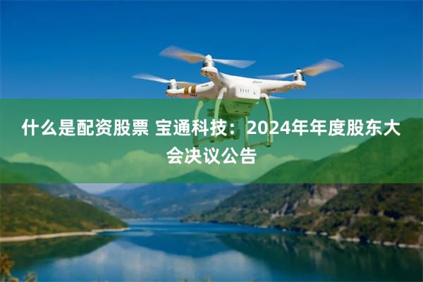 什么是配资股票 宝通科技：2024年年度股东大会决议公告
