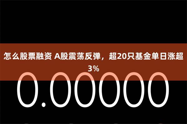怎么股票融资 A股震荡反弹，超20只基金单日涨超3%