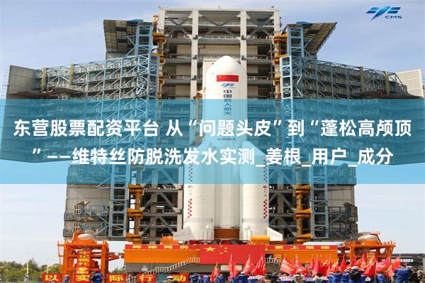 东营股票配资平台 从“问题头皮”到“蓬松高颅顶”——维特丝防脱洗发水实测_姜根_用户_成分