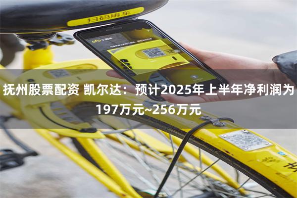 抚州股票配资 凯尔达：预计2025年上半年净利润为197万元~256万元
