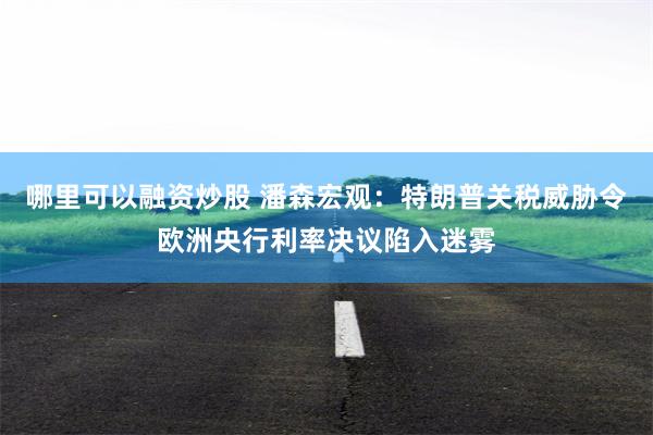 哪里可以融资炒股 潘森宏观：特朗普关税威胁令欧洲央行利率决议陷入迷雾