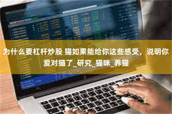 为什么要杠杆炒股 猫如果能给你这些感受，说明你爱对猫了_研究_猫咪_养猫