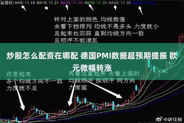 炒股怎么配资在哪配 德国PMI数据超预期提振 欧元微幅转涨