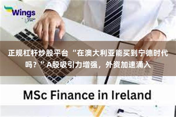正规杠杆炒股平台 “在澳大利亚能买到宁德时代吗？”A股吸引力增强，外资加速涌入