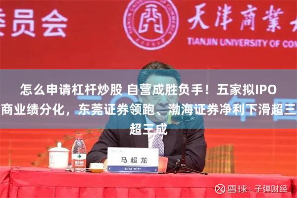 怎么申请杠杆炒股 自营成胜负手！五家拟IPO券商业绩分化，东莞证券领跑、渤海证券净利下滑超三成