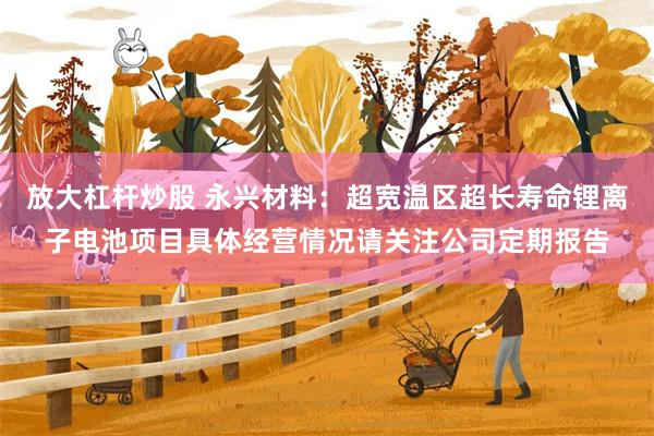 放大杠杆炒股 永兴材料：超宽温区超长寿命锂离子电池项目具体经营情况请关注公司定期报告