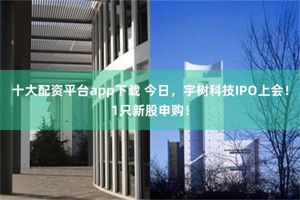 十大配资平台app下载 今日，宇树科技IPO上会！1只新股申购！