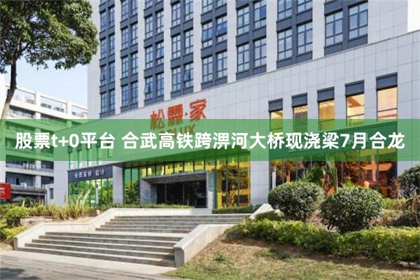 股票t+0平台 合武高铁跨淠河大桥现浇梁7月合龙