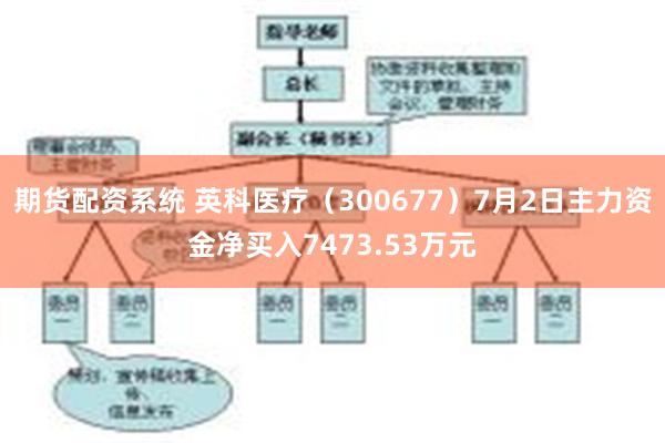期货配资系统 英科医疗（300677）7月2日主力资金净买入7473.53万元