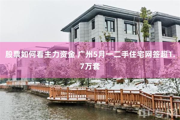股票如何看主力资金 广州5月一二手住宅网签超1.7万套