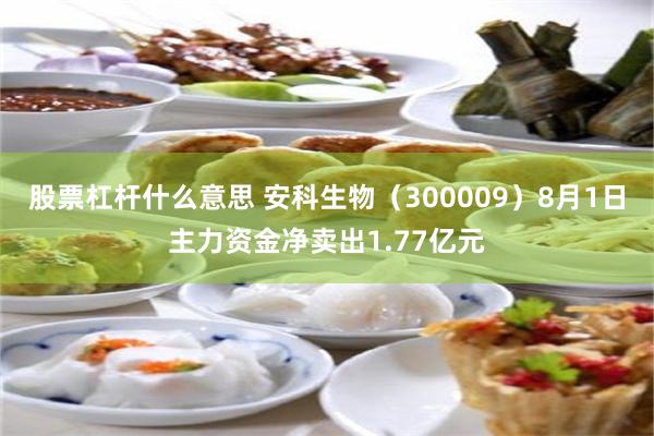 股票杠杆什么意思 安科生物（300009）8月1日主力资金净卖出1.77亿元