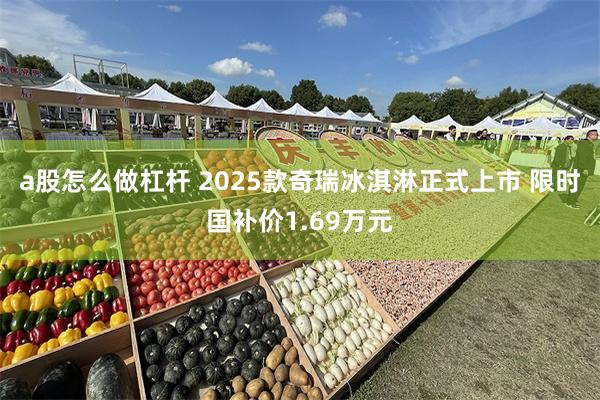 a股怎么做杠杆 2025款奇瑞冰淇淋正式上市 限时国补价1.69万元