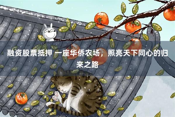 融资股票抵押 一座华侨农场，照亮天下同心的归来之路