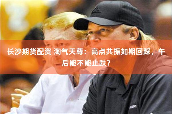 长沙期货配资 淘气天尊：高点共振如期回踩，午后能不能止跌？
