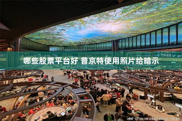 哪些股票平台好 普京特使用照片给暗示