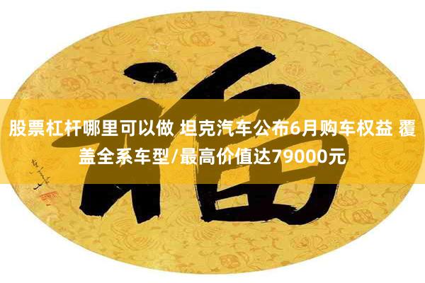 股票杠杆哪里可以做 坦克汽车公布6月购车权益 覆盖全系车型/最高价值达79000元
