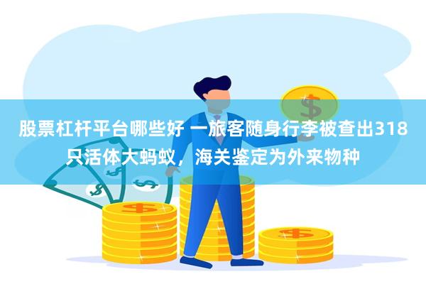 股票杠杆平台哪些好 一旅客随身行李被查出318只活体大蚂蚁，海关鉴定为外来物种