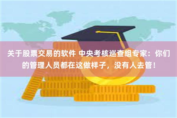 关于股票交易的软件 中央考核巡查组专家：你们的管理人员都在这做样子，没有人去管！