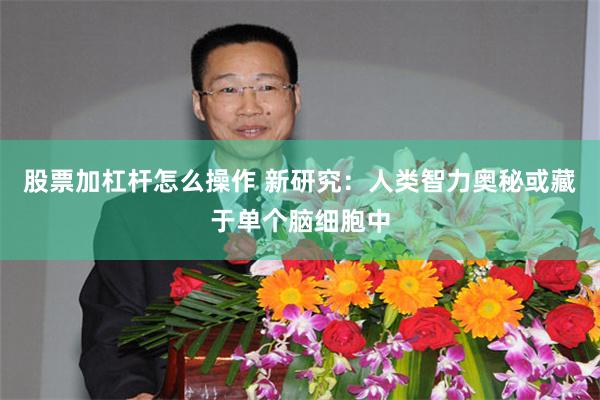 股票加杠杆怎么操作 新研究：人类智力奥秘或藏于单个脑细胞中