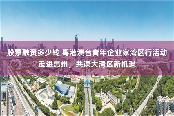 股票融资多少钱 粤港澳台青年企业家湾区行活动走进惠州，共谋大湾区新机遇