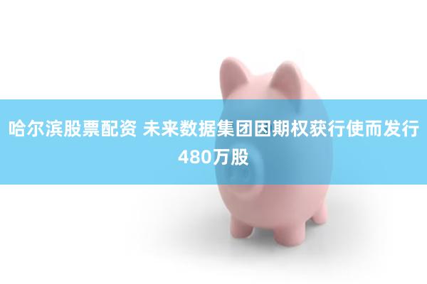 哈尔滨股票配资 未来数据集团因期权获行使而发行480万股