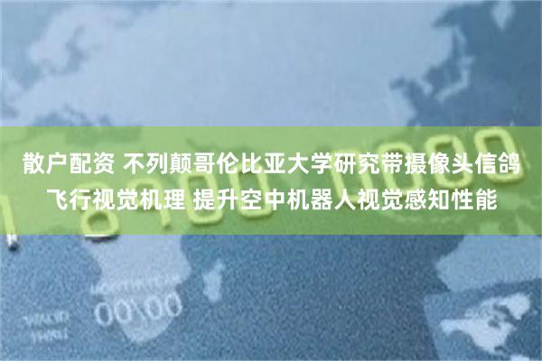 散户配资 不列颠哥伦比亚大学研究带摄像头信鸽飞行视觉机理 提升空中机器人视觉感知性能