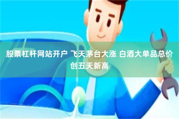 股票杠杆网站开户 飞天茅台大涨 白酒大单品总价创五天新高