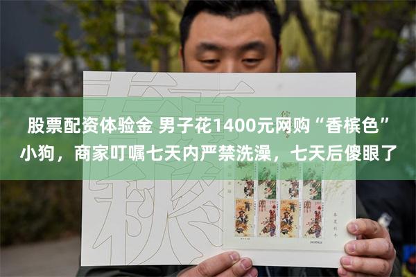 股票配资体验金 男子花1400元网购“香槟色”小狗，商家叮嘱七天内严禁洗澡，七天后傻眼了