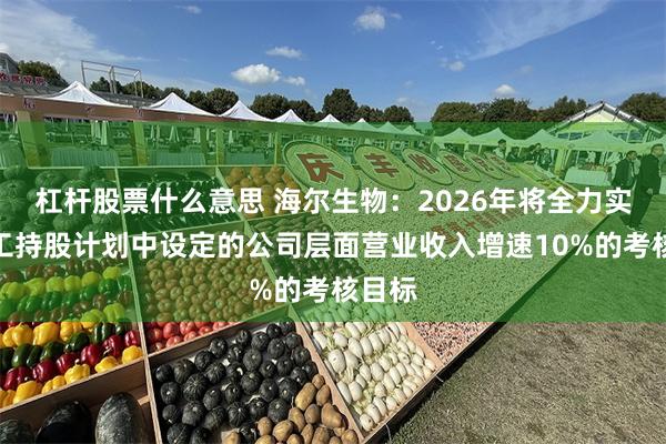 杠杆股票什么意思 海尔生物：2026年将全力实现员工持股计划中设定的公司层面营业收入增速10%的考核目标