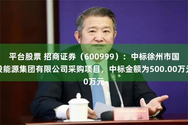 平台股票 招商证券（600999）：中标徐州市国投能源集团有限公司采购项目，中标金额为500.00万元