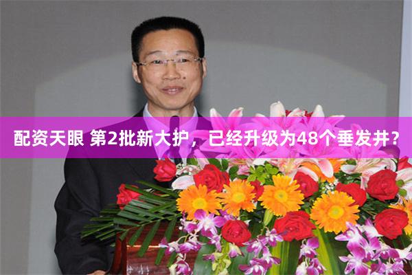 配资天眼 第2批新大护，已经升级为48个垂发井？