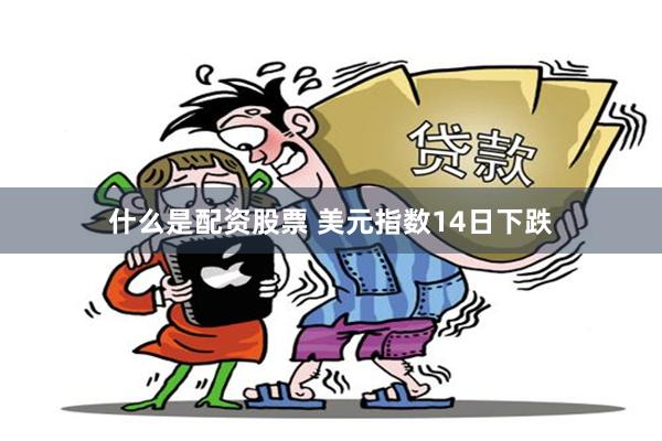 什么是配资股票 美元指数14日下跌