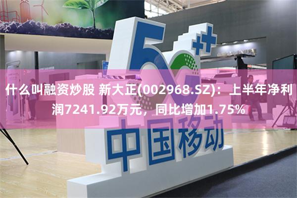 什么叫融资炒股 新大正(002968.SZ)：上半年净利润7241.92万元，同比增加1.75%