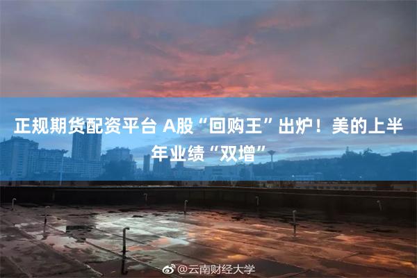 正规期货配资平台 A股“回购王”出炉！美的上半年业绩“双增”