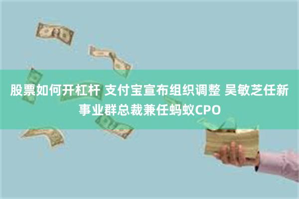 股票如何开杠杆 支付宝宣布组织调整 吴敏芝任新事业群总裁兼任蚂蚁CPO