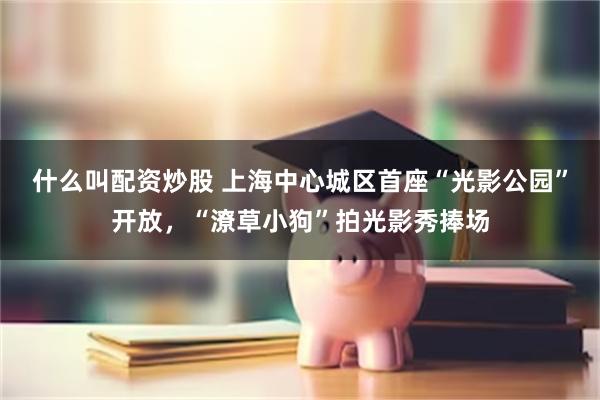 什么叫配资炒股 上海中心城区首座“光影公园”开放，“潦草小狗”拍光影秀捧场