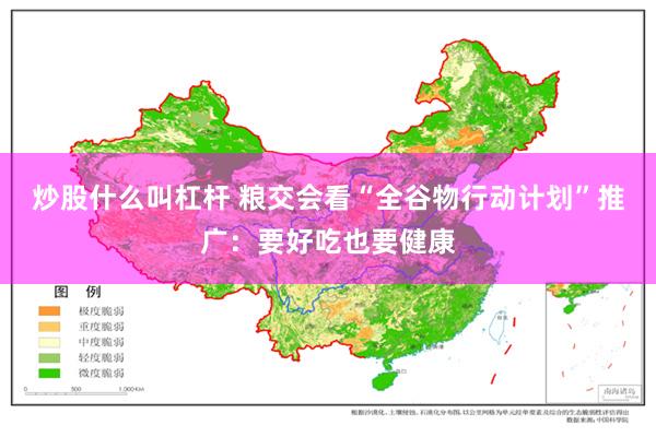 炒股什么叫杠杆 粮交会看“全谷物行动计划”推广：要好吃也要健康