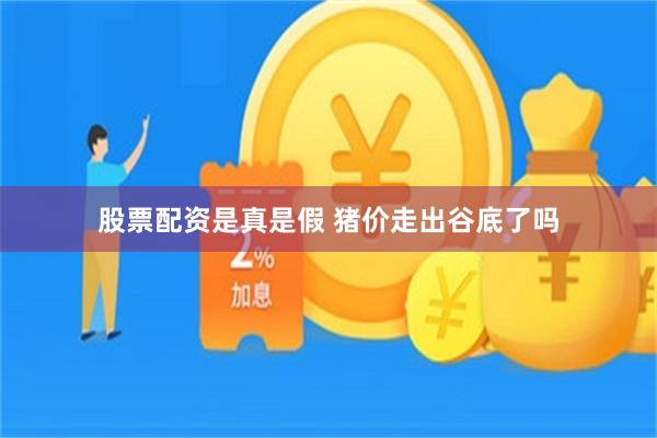 股票配资是真是假 猪价走出谷底了吗