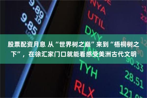 股票配资月息 从“世界树之巅”来到“梧桐树之下”，在徐汇家门口就能看感受美洲古代文明