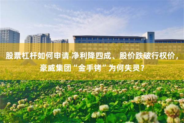 股票杠杆如何申请 净利降四成、股价跌破行权价，豪威集团“金手铐”为何失灵？