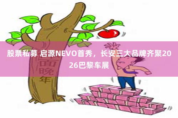 股票私募 启源NEVO首秀，长安三大品牌齐聚2026巴黎车展