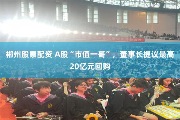 郴州股票配资 A股“市值一哥”，董事长提议最高20亿元回购